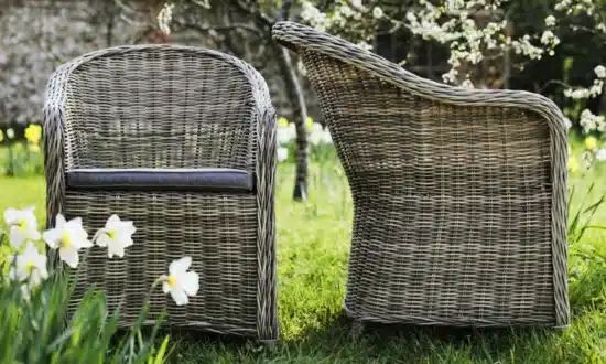 Roma synthetic rattan dining chairs in sunny garden